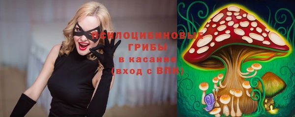 твердый Абинск