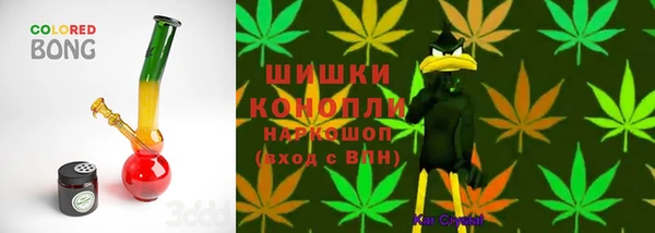 гашик Алексеевка